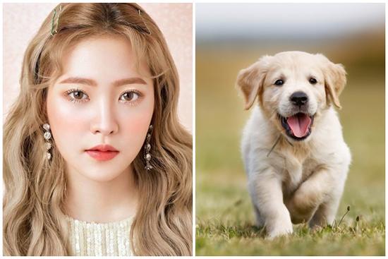 Tử vi hàng ngày 12 con giáp thứ Tư 26/10/2022: Dục tốc bất đạt