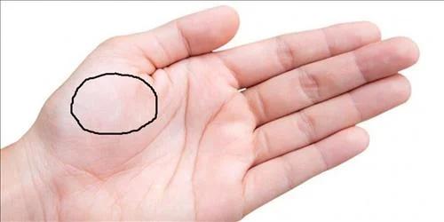 Bàn tay phụ nữ có ẩn tướng phú quý, dễ làm nên nghiệp lớn-1