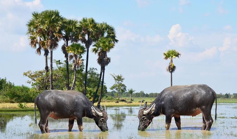 Ngày 24/10/2022 dành riêng cho 4 tuổi thăng hoa hạnh phúc-1