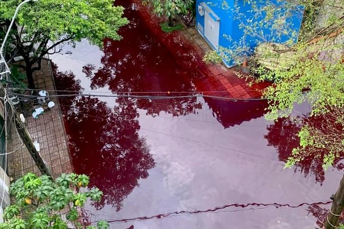Rùng mình dòng nước đỏ, hôi thối đổ về khu phố sau cơn mưa-1