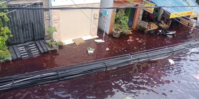 Rùng mình dòng nước đỏ, hôi thối đổ về khu phố sau cơn mưa-2