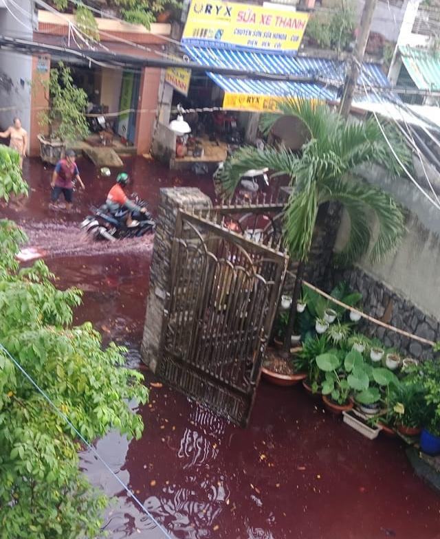 Rùng mình dòng nước đỏ, hôi thối đổ về khu phố sau cơn mưa-3