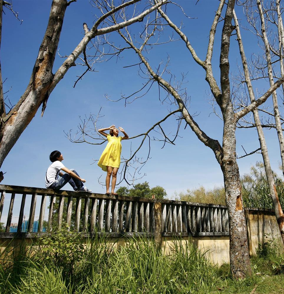 Tin showbiz Việt ngày 24/10: Con gái Thúy Nga không có số làm hoa hậu-10