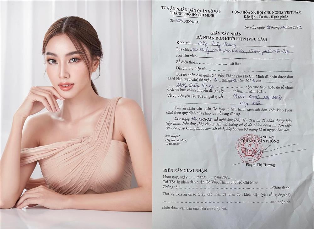 Chị Đặng Thu Thảo kiện Thùy Tiên: Không chịu nổi nữa-2