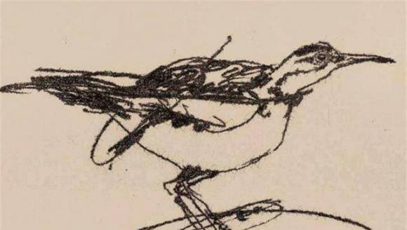 Vẽ con chim bán 23 tỷ đồng, chuyên gia: Hãy nhìn vào mắt chim-2