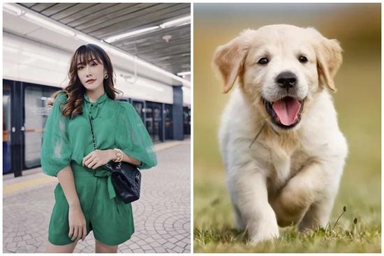 4 tuổi gặp thời lên hương, đứng trên núi vàng trong 3 năm tới