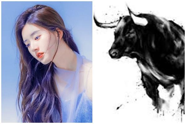 Tử vi tuần mới 12 con giáp 31/10/2022 - 6/11/2022: Tự mãn quá đà-4