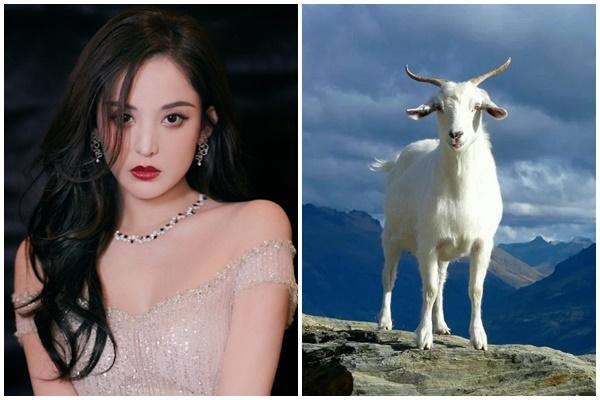 Cha mẹ tuổi này con cái xuất chúng thơm lây, về già sống đời hạnh phúc-4