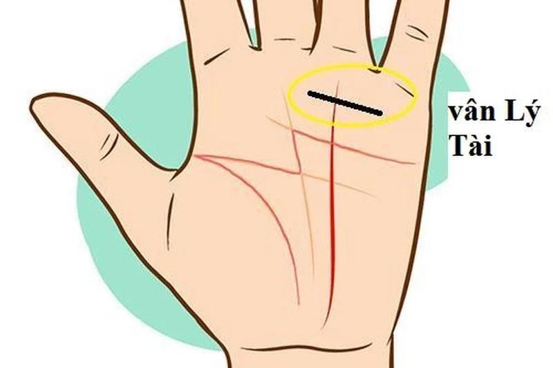 Lòng bàn tay có 4 dấu hiệu cả đời phú quý, tiền tiêu không hết-2