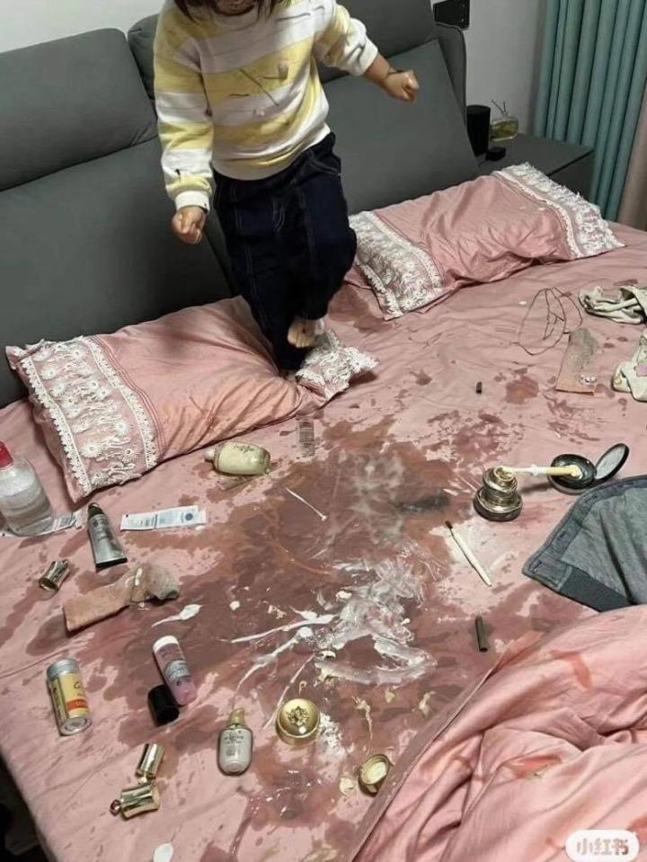 Thảm cảnh khi trót nuôi phải hội báo con, nhìn mà tức phát khóc-1