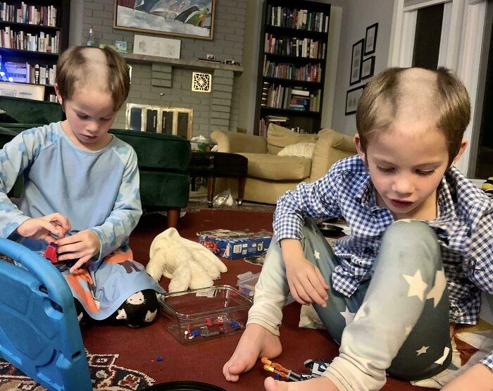 Thảm cảnh khi trót nuôi phải hội báo con, nhìn mà tức phát khóc-2