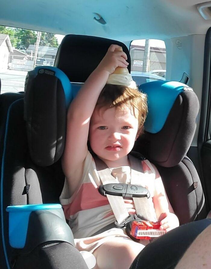 Thảm cảnh khi trót nuôi phải hội báo con, nhìn mà tức phát khóc-3