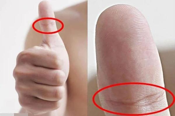 Lòng bàn tay có chữ M tài năng thiên bẩm, phú quý suốt đời-4