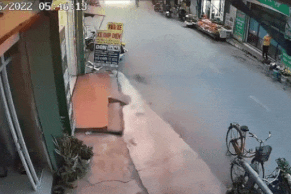 Cây xà cừ bật gốc, đè tử vong tài xế xe tải chạy trên đường-3