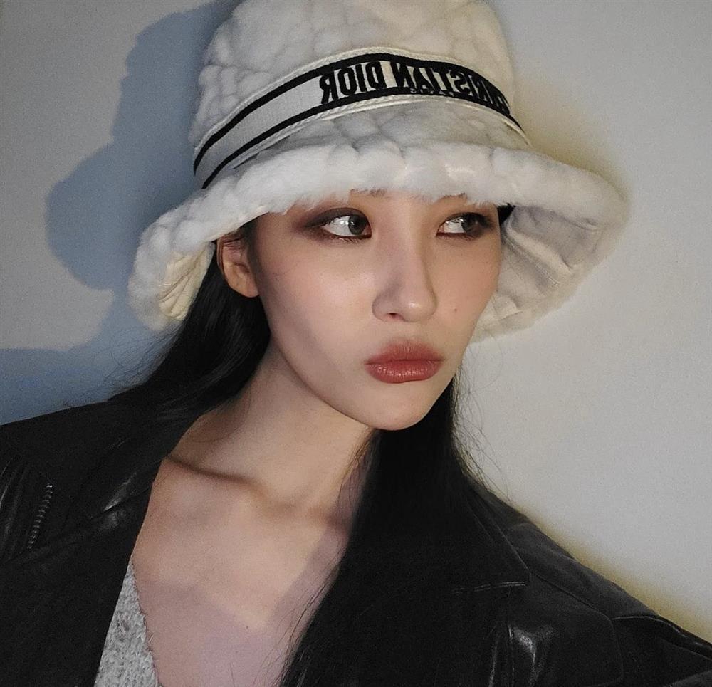 Loạt ngôi sao nâng tầm khí chất nhờ phụ kiện mũ lông-1