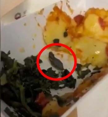 Hành khách tố suất ăn máy bay có gián, hãng kêu khách nhìn nhầm-3