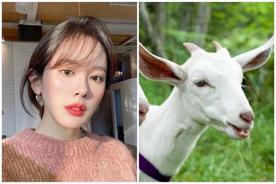 4 con giáp giỏi nói lời đường mật, là địa chỉ uy tín 'dốc bầu tâm sự'