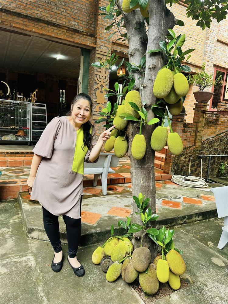 Tin showbiz Việt ngày 29/10: Lê Dương Bảo Lâm trêu mẹ đẻ hay ra dẻ-6