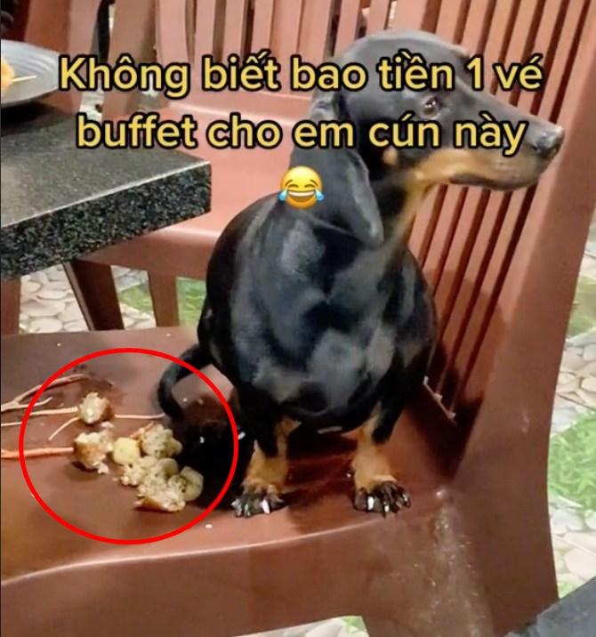 Tranh cãi khách đổ thức ăn lên ghế rồi đút cho chó cưng ăn-1
