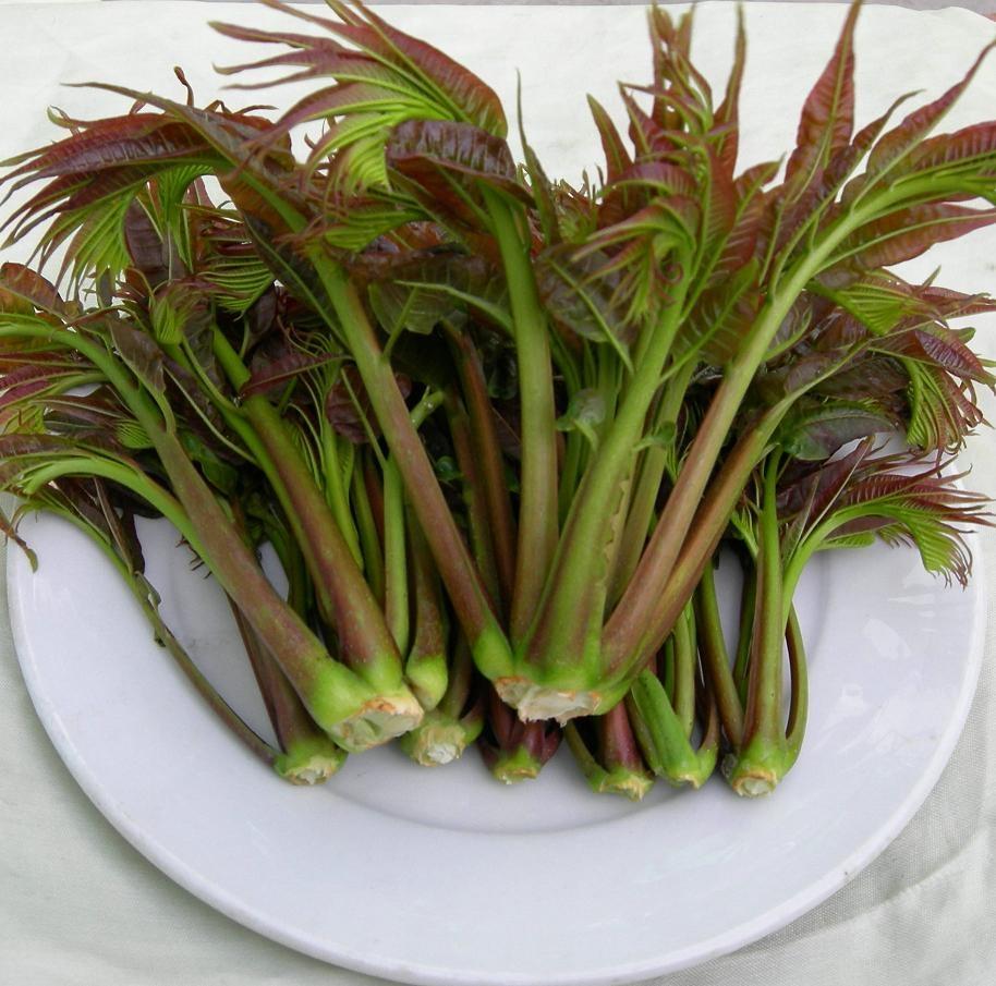 4 loại rau quen thuộc làm tăng nguy cơ mắc ung thư nếu ăn sai cách-4