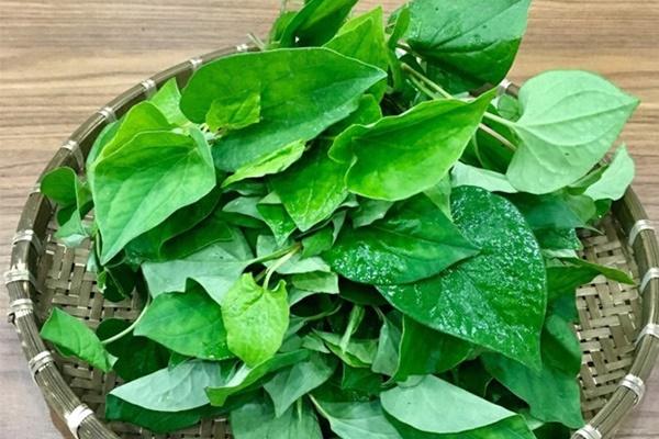 3 món không ăn trước khi chạy bộ, vừa khó chịu lại phản tác dụng-3