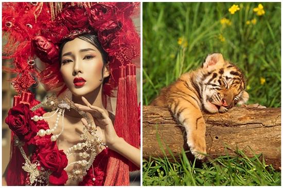 Tử vi hàng ngày 12 con giáp thứ Năm 3/11/2022: Dẫn đường sai lối