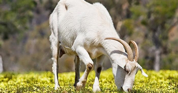 Bước sang 1/11 Dương lịch: 3 tuổi trúng mánh, tiền bạc đổ về-3