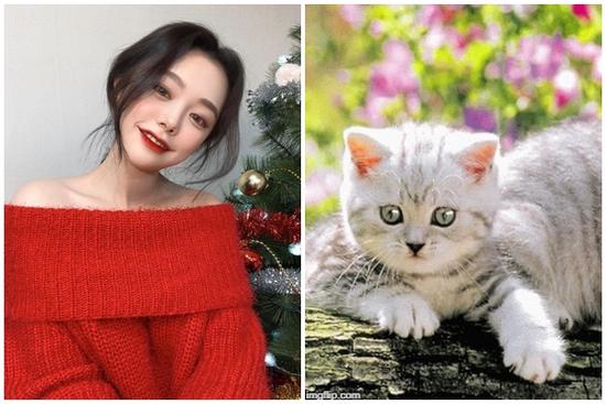 Bước sang 1/11 Dương lịch: 3 tuổi trúng mánh, tiền bạc đổ về