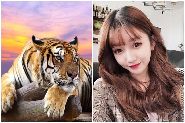 Tử vi hàng ngày 12 con giáp thứ Bảy 5/11/2022: Giễu cợt quá trớn-4