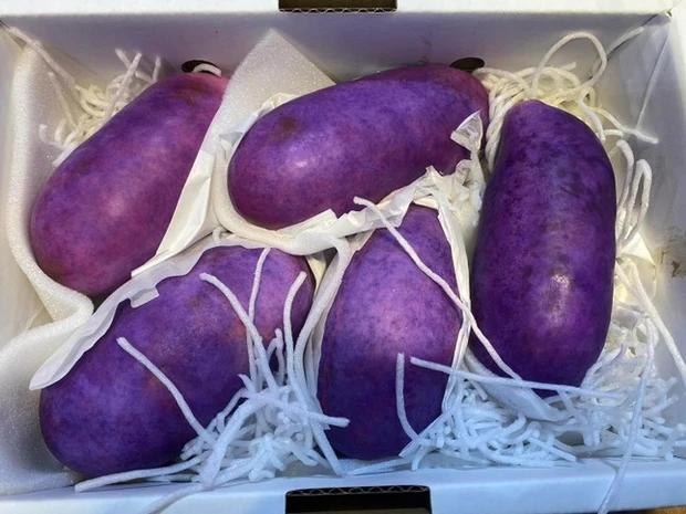 Nho tím khổng lồ có giá gần nửa triệu đồng/quả-1