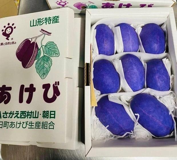 Nho tím khổng lồ có giá gần nửa triệu đồng/quả-3