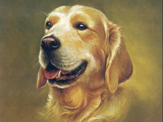 4 tuổi Tiền - Tình - Danh tháng 11 may mắn, tháng 12 tậu nhà sắm xe-2