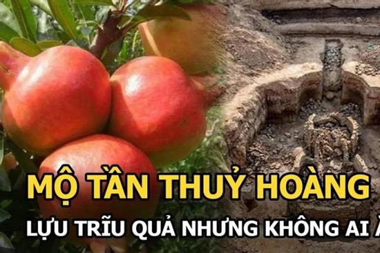 Cây lựu mọc trên lăng mộ Tần Thủy Hoàng: Giật mình khi bổ quả lựu