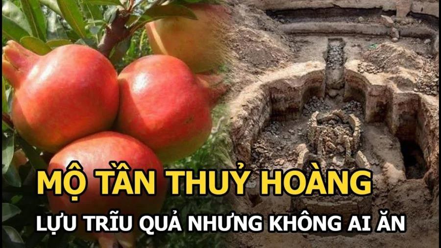 Cây lựu mọc trên lăng mộ Tần Thủy Hoàng: Giật mình khi bổ quả lựu-1