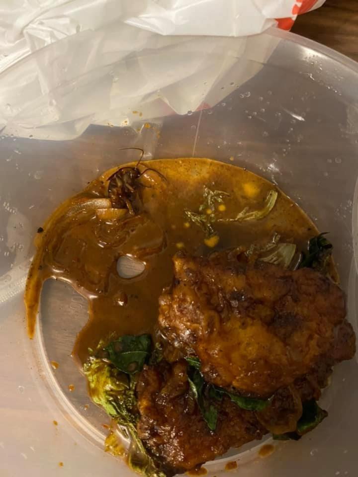 Sợ hãi tột độ sự hiện diện của loài gián khắp mặt trận ăn uống-2