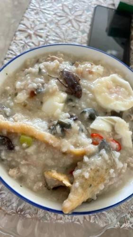 Sợ hãi tột độ sự hiện diện của loài gián khắp mặt trận ăn uống-3