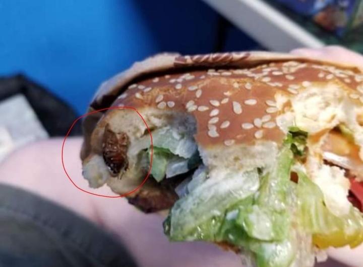 Sợ hãi tột độ sự hiện diện của loài gián khắp mặt trận ăn uống-5