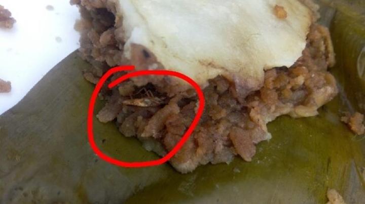 Sợ hãi tột độ sự hiện diện của loài gián khắp mặt trận ăn uống-6