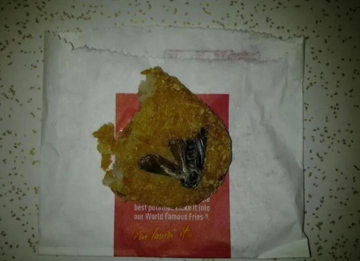 Sợ hãi tột độ sự hiện diện của loài gián khắp mặt trận ăn uống-7