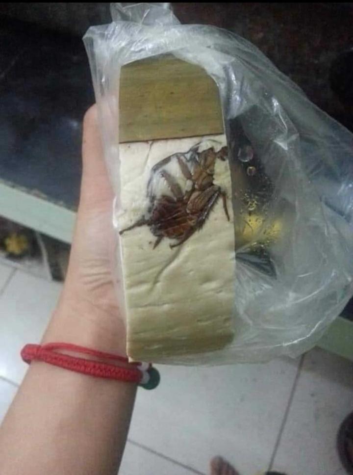 Sợ hãi tột độ sự hiện diện của loài gián khắp mặt trận ăn uống-8