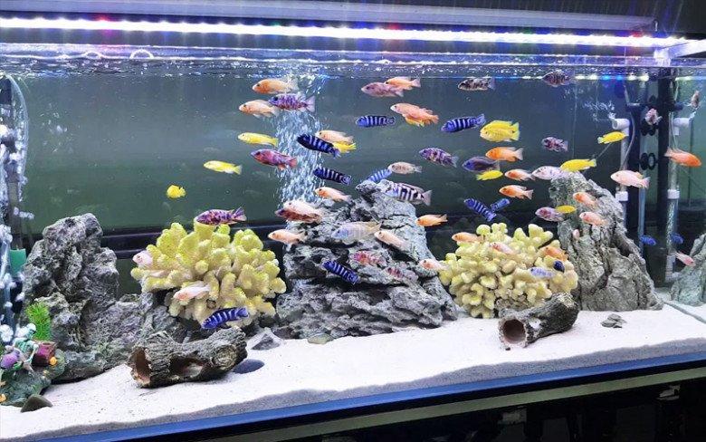 Dưới bàn thờ có 4 thứ này, gia chủ túng thiếu quanh năm-3