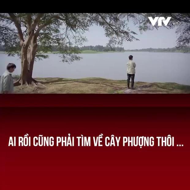 Nhân vật xuất hiện thường xuyên trong phim Việt nhưng không nói câu thoại nào-1