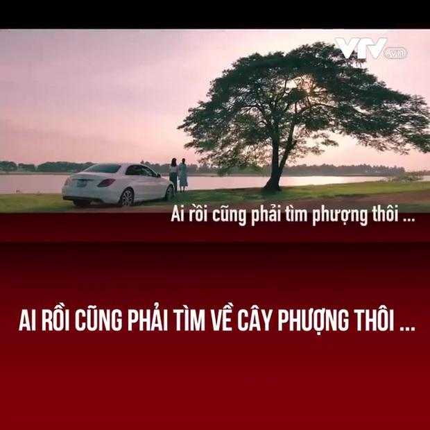 Nhân vật xuất hiện thường xuyên trong phim Việt nhưng không nói câu thoại nào-4