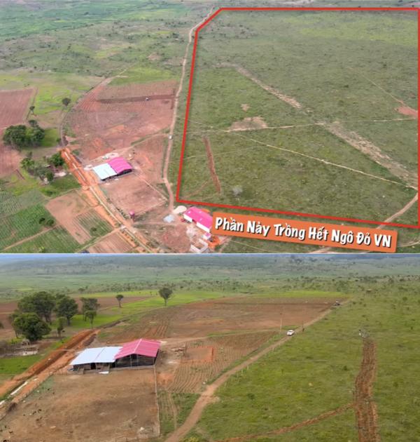 Quang Linh tiếp tục chi khủng vào tài sản bạc tỷ, chờ thu lãi to-3