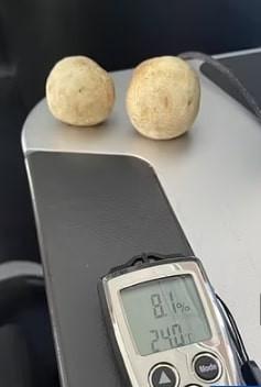 Cận cảnh hình ảnh ám ảnh cây nấm mất nước sau chuyến bay 8 tiếng-2