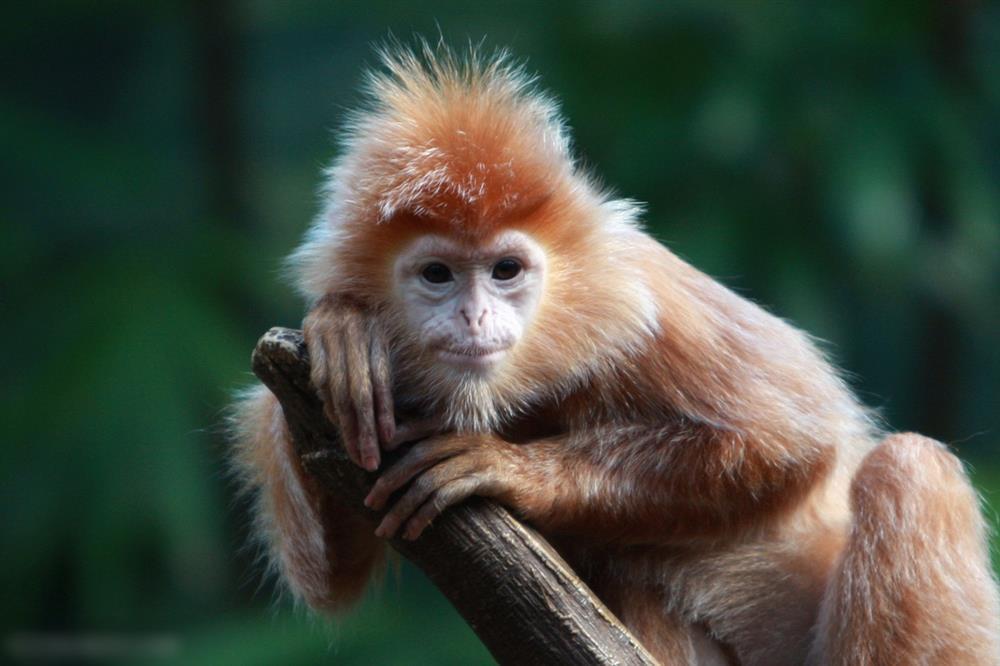 Hôm nay Tết Hạ Nguyên 10/10, có 4 tuổi TÌNH - TIỀN chạm nóc-3