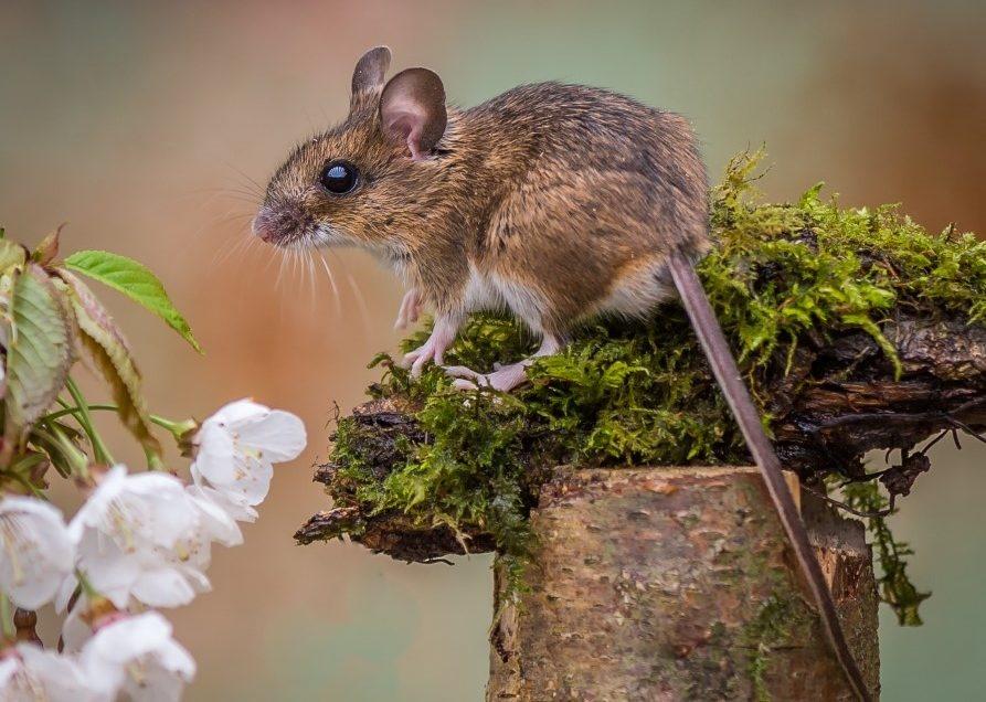 0h ngày 4/11 đề phòng kẻ gian chơi xấu, 3 tuổi mất tiền như chơi-3