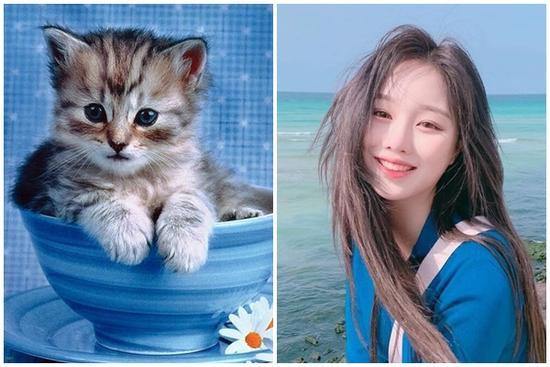 4 tuổi 'thêu hoa dệt gấm' tay hốt bạc, tay ôm vàng trong 5 ngày tới