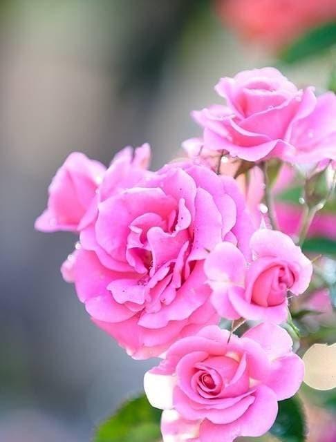 Người giàu nửa sau cuộc đời thường sinh vào những ngày này-1