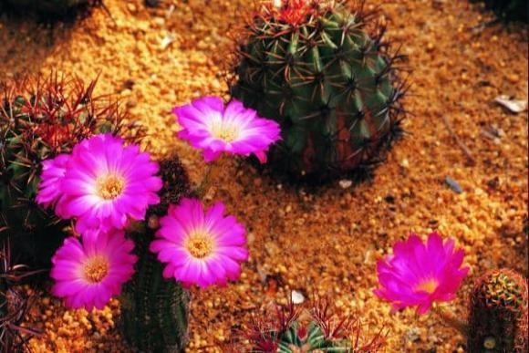 Người giàu nửa sau cuộc đời thường sinh vào những ngày này-2